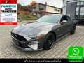 Ford Mustang GT Performance 5.0 V8 Aut*Leder*Sitzhz*Navi*Brembo Grijs - thumbnail 1