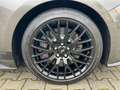 Ford Mustang GT Performance 5.0 V8 Aut*Leder*Sitzhz*Navi*Brembo Grau - thumbnail 24