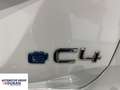 Citroen C4 Shine Pack electric White - thumbnail 10