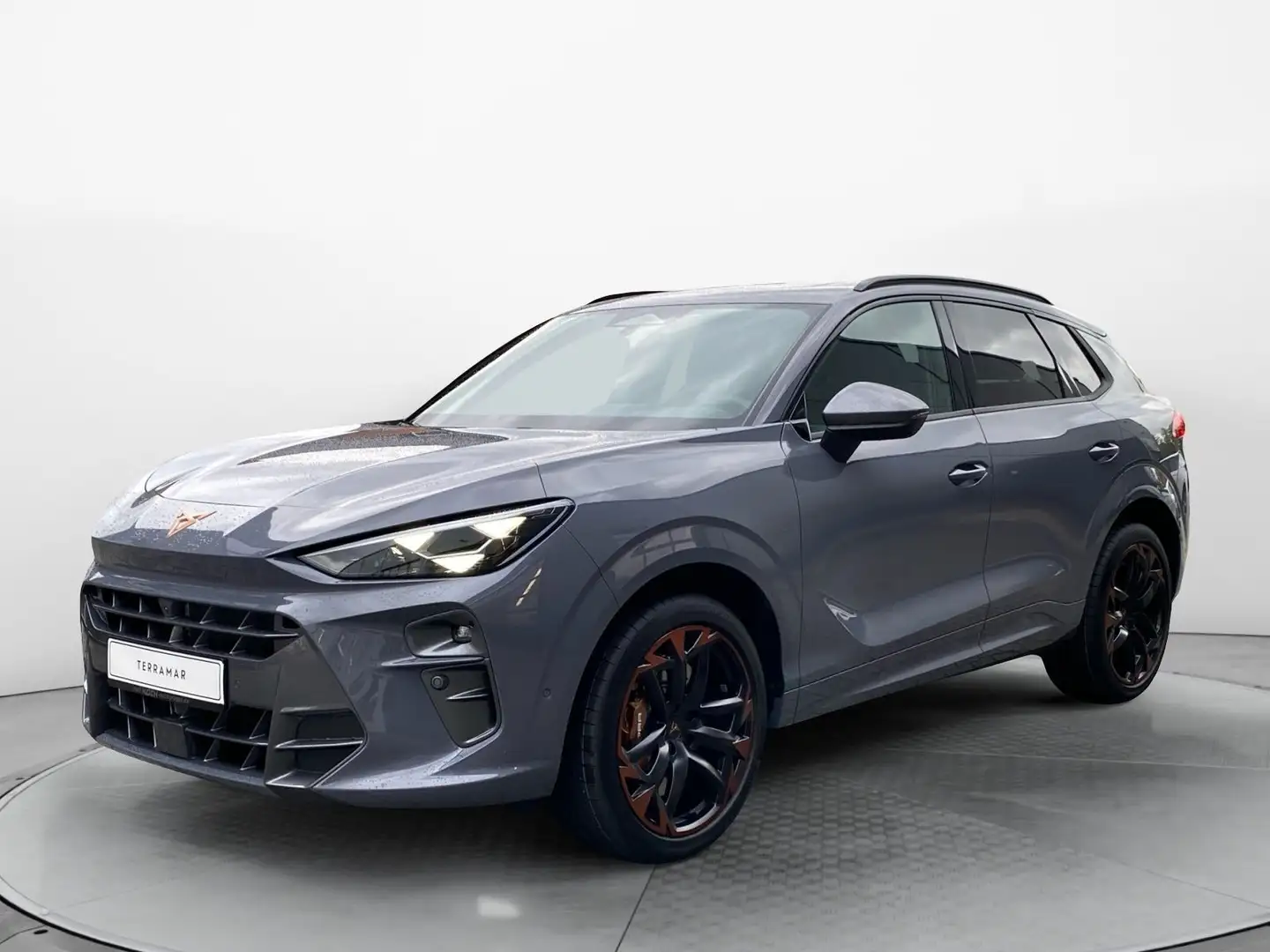 CUPRA Terramar VZ 2.0 TSI 195 kW (265 PS) 7-Gang DSG 4 Gris - 2