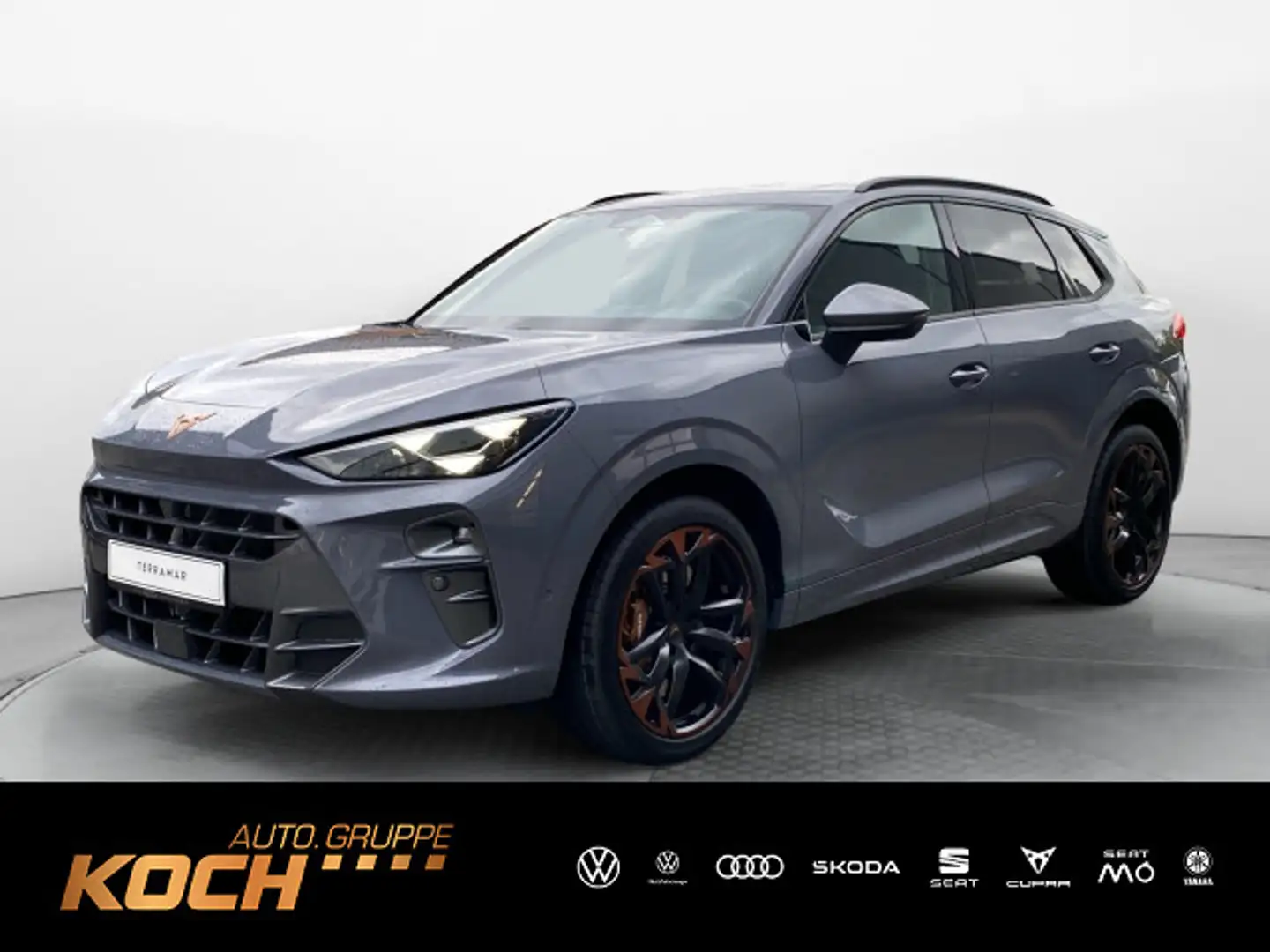 CUPRA Terramar VZ 2.0 TSI 195 kW (265 PS) 7-Gang DSG 4 Gris - 1