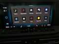 Volkswagen Caddy Life TDI 4MOTION Grau - thumbnail 10
