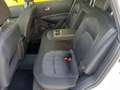 Nissan Qashqai 2.0 dCi DPF Visia 4x4 tetto panoramico Bianco - thumbnail 27