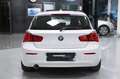 BMW 116 d Efficient Dynamics Advantage Bianco - thumbnail 5