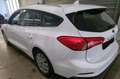 Ford Focus 1.5 TDCI St&St+NAVI+6 GANG+KLIMA+PDC+SHZ+TEMPO Weiß - thumbnail 4
