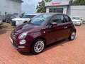 Fiat 500 Dolcevita*DAB+*Carplay*Glasdach*Tempomat* Mauve - thumbnail 4