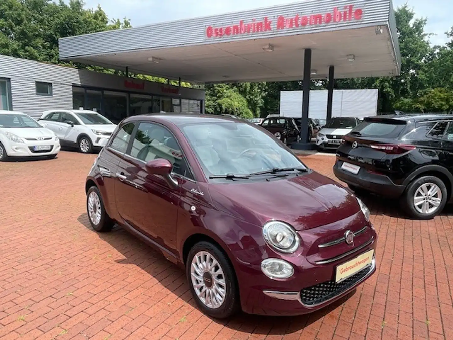 Fiat 500 Dolcevita*DAB+*Carplay*Glasdach*Tempomat* Mauve - 1