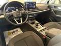 Audi Q5 Sportback 40 2.0 tdi mhev Advanced quattro IVA Esp Beige - thumbnail 14