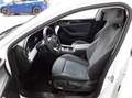 Volkswagen Passat Variant 1.5 eTSI DSG Business KAMERA AHK Weiß - thumbnail 4