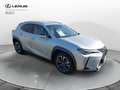 Lexus UX 250h Hybrid Executive Grigio - thumbnail 8