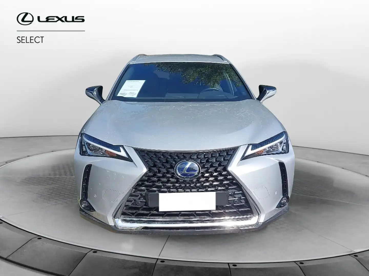 Lexus UX 250h Hybrid Executive Grigio - 1