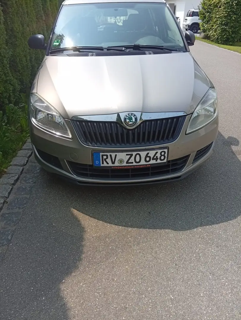 Skoda Fabia Cool Edition TSI - 1