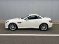 Mercedes-Benz SLK 200 SLK 200 - Pack AMG - Airscaf - Boite aut - Blanc - thumbnail 6