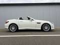 Mercedes-Benz SLK 200 SLK 200 - Pack AMG - Airscaf - Boite aut - Blanc - thumbnail 3