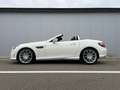 Mercedes-Benz SLK 200 SLK 200 - Pack AMG - Airscaf - Boite aut - Blanc - thumbnail 17