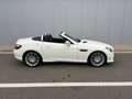 Mercedes-Benz SLK 200 SLK 200 - Pack AMG - Airscaf - Boite aut - Blanc - thumbnail 25