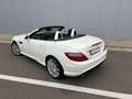 Mercedes-Benz SLK 200 SLK 200 - Pack AMG - Airscaf - Boite aut - Blanc - thumbnail 13