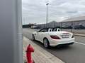 Mercedes-Benz SLK 200 SLK 200 - Pack AMG - Airscaf - Boite aut - Blanc - thumbnail 30