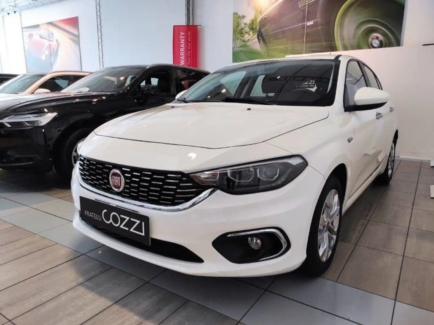 Fiat Tipo (2015-->) - Tipo 1.6 Mjt S&S 5 porte Business Wit - 2