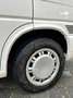 Volkswagen T4 Multivan Multivan T4 TDI 7DC UY2 Weiß - thumbnail 11