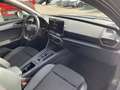 CUPRA Leon 1.5 eTSI 110kW (150CV) DSG Grau - thumbnail 18