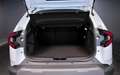 Dacia Duster 1.2 TCE 130cv MHEV 4x4 EXPRESSION (+ COLD Pack) Wit - thumbnail 14