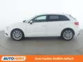 Audi A3 1.6 TDI Design Weiß - thumbnail 3