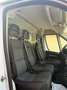 Fiat Ducato 35 2.3 mjt 140cv Bianco - thumbnail 11