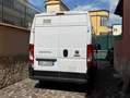 Fiat Ducato 35 2.3 mjt 140cv Bianco - thumbnail 7