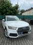 Audi Q5 quattro sport Weiß - thumbnail 5