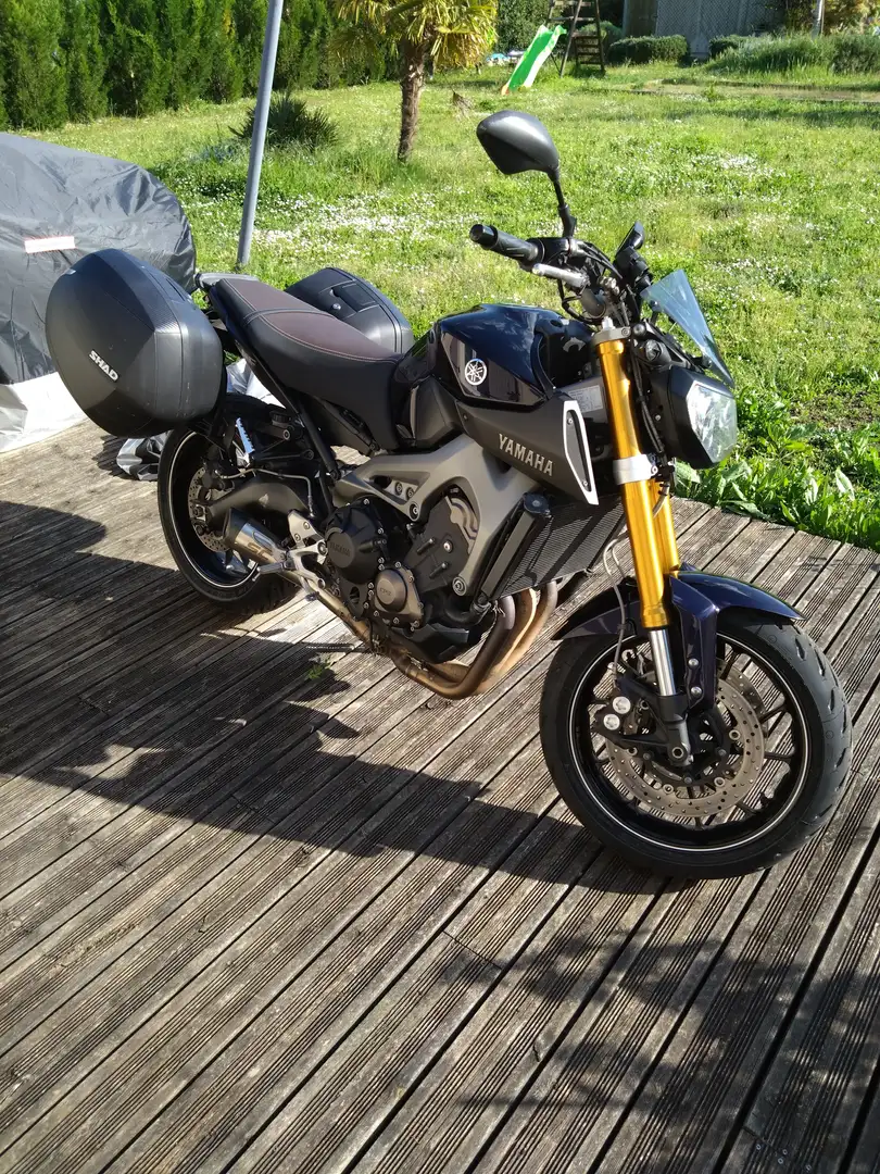 Yamaha MT-09 Mauve - 1