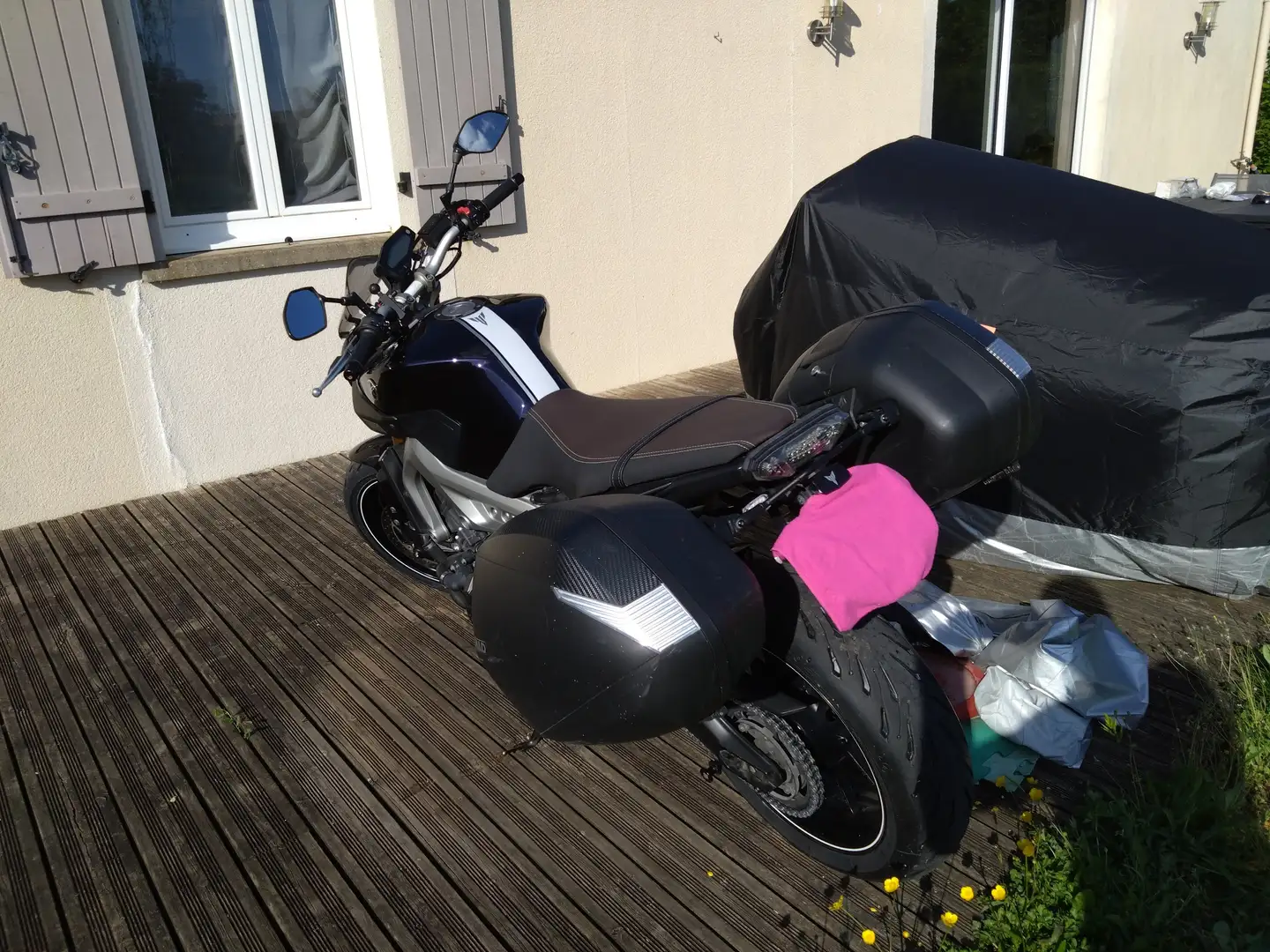 Yamaha MT-09 Mauve - 2