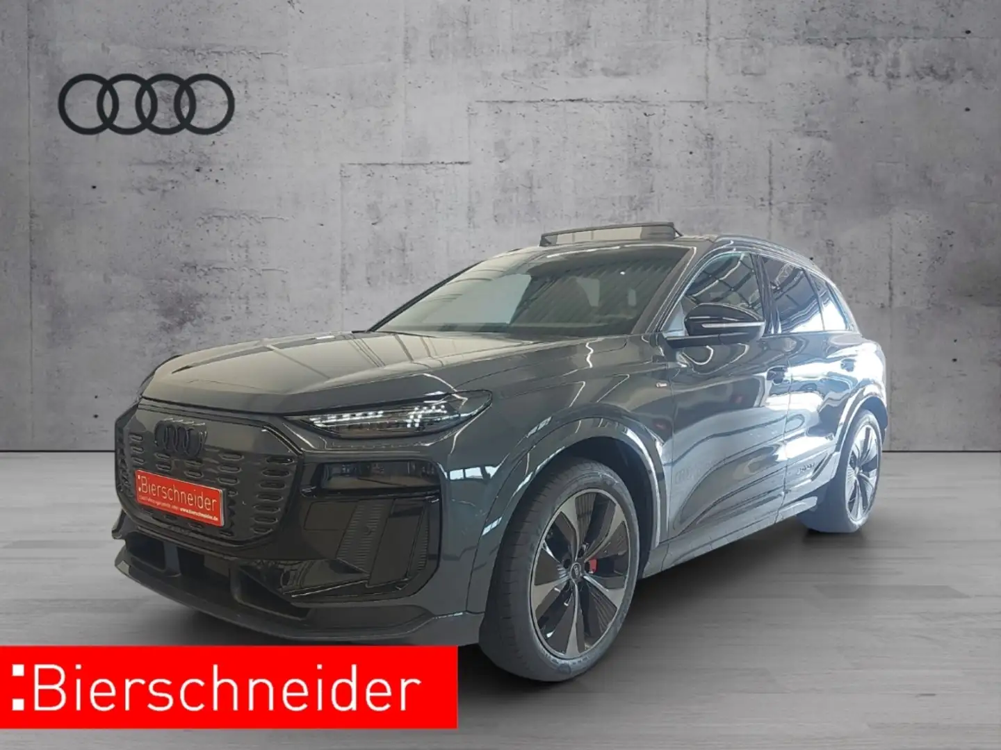 Audi Q6 qu. edition one grey S line MATRIX 21 TECH-PRO PAN Grau - 1