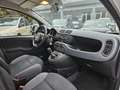 Fiat Panda 1.2 EasyPower Easy Grigio - thumbnail 10