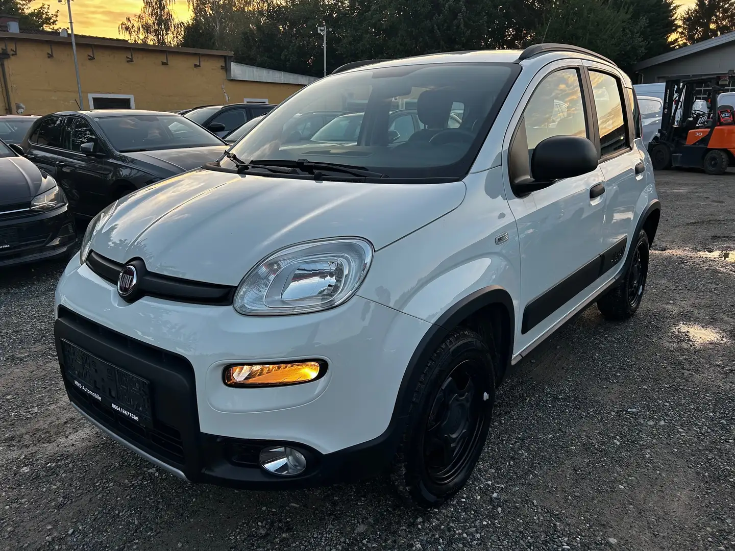 Fiat Panda Wild 4x4 Klima Allrad 1 Besitz Servicebuch Weiß - 1