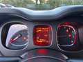Fiat Panda Wild 4x4 Klima Allrad 1 Besitz Servicebuch Weiß - thumbnail 24