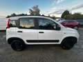 Fiat Panda Wild 4x4 Klima Allrad 1 Besitz Servicebuch Weiß - thumbnail 4