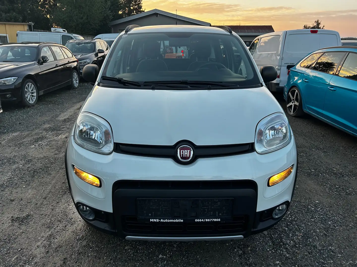 Fiat Panda Wild 4x4 Klima Allrad 1 Besitz Servicebuch Weiß - 2
