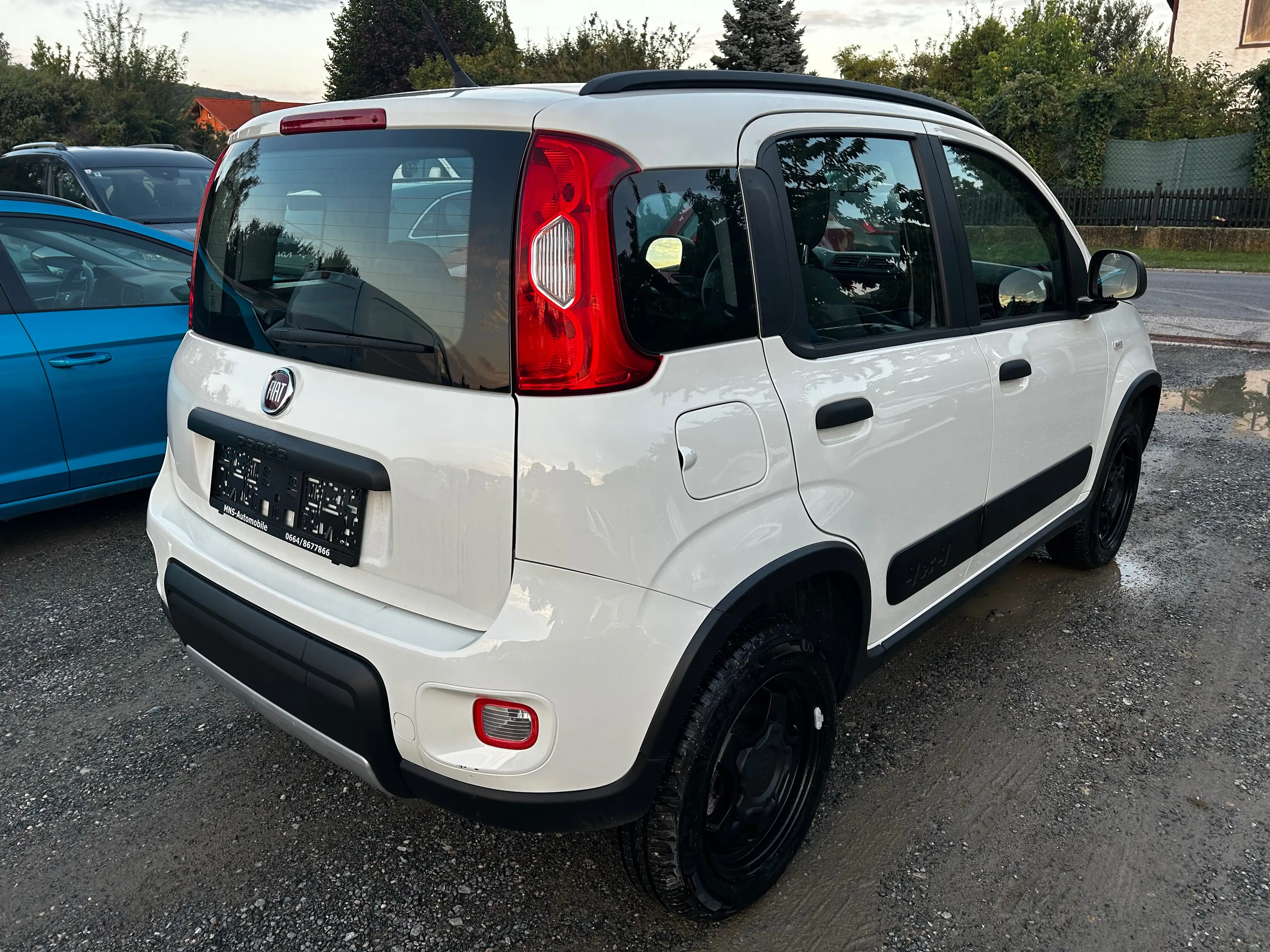 Fiat Panda Wild 4x4 Klima Allrad 1 Besitz Servicebuch — photo 5