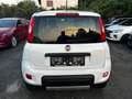 Fiat Panda Wild 4x4 Klima Allrad 1 Besitz Servicebuch Weiß - thumbnail 6