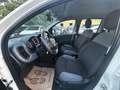 Fiat Panda Wild 4x4 Klima Allrad 1 Besitz Servicebuch Weiß - thumbnail 9