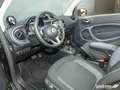 smart forTwo ForTwo Cabriolet EQ Passion LED/22 kW/DAB/Kamera Grün - thumbnail 10