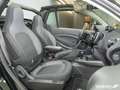 smart forTwo ForTwo Cabriolet EQ Passion LED/22 kW/DAB/Kamera Grün - thumbnail 12