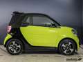 smart forTwo ForTwo Cabriolet EQ Passion LED/22 kW/DAB/Kamera Grün - thumbnail 4