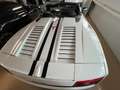 Lamborghini Gallardo LP560-4 E-Gear Spyder Blanc - thumbnail 9