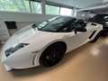 Lamborghini Gallardo LP560-4 E-Gear Spyder Blanc - thumbnail 12