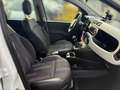 Fiat Panda New Panda City Cross 1.2 Klimaautomatik Weiß - thumbnail 12