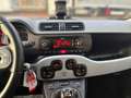 Fiat Panda New Panda City Cross 1.2 Klimaautomatik Weiß - thumbnail 10