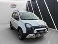 Fiat Panda New Panda City Cross 1.2 Klimaautomatik Weiß - thumbnail 4