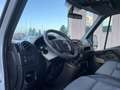 Renault Master CASSONE FISSO RUOTE GEMELLATE MOLTO BELLO IN TUTTO Blanc - thumbnail 10
